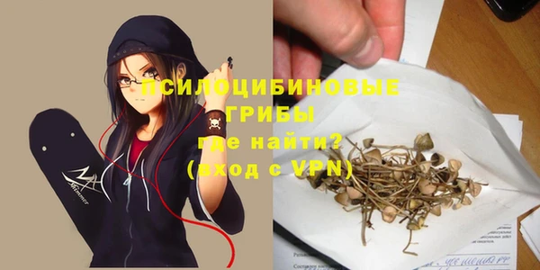 дурь Нязепетровск