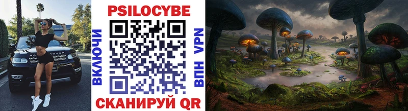 даркнет сайт Алагир Галлюциногенные грибы Cubensis