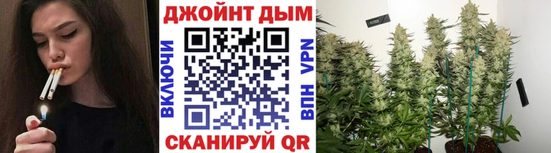 Бошки марихуана Bruce Banner Алагир